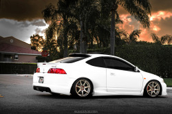 jdmlifestyle:  That is one sexy RSX! Photo By: Brandon Silvera