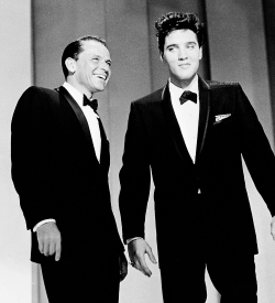 kingofthewholewideworld:  vinceveretts:  Elvis and Frank Sinatra on ‘The Frank Sinatra Timex Special’, March 1960.  Elvis 