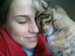 catsbeaversandducks:  10 Signs Your Kitty Actually Loves You Ever wondered if your kitty really loves you? From finicky to feisty, our feline friends aren’t always the easiest to read. Unlike dogs who make their affection for us loud and clear, cats