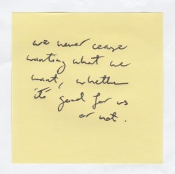 nicethingsinuglyhandwriting:  We never cease wanting what we want, whether it’s good for us or not // Stephen King. 