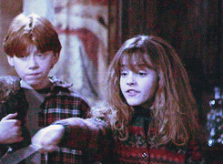trogdorthe-burninator:  hogwartshungervampirestimelords:  a-myriad-of-fandoms:  After being Hermione’s friend for 7 years, Harry still hasn’t understood how fucking badass she is. :P   He pulls the same face   GRANGER DANGER GRANGER DANGER 
