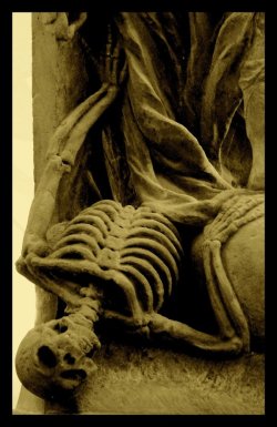 gothnrollx:  The Skeleton by ~styx777