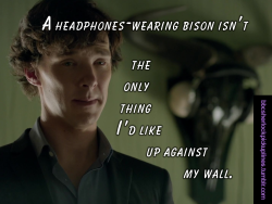 &ldquo;A headphones-wearing bison isn&rsquo;t the only thing I&rsquo;d like up against my wall.&rdquo;