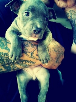 I can&rsquo;t wait till I get a lol pit :)