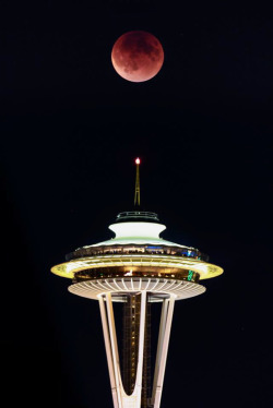 humanoidhistory:  Seattle’s Space Needle earns its name in this Super Blood Moon Eclipse photo by Tim Durkan. (Northwest Cable News) 