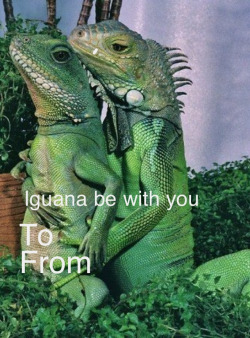whorville:  Iguana love you 