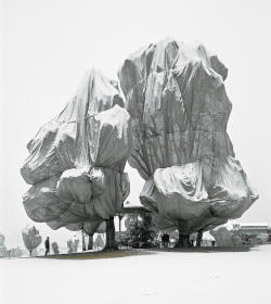 natur4listic:  Christo and Jeanne-Claude - Wrapped Trees, 1997-1998 Read more about the Wrapped Trees here. 