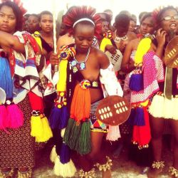   Swazi reed dancers, via lindysphasha 