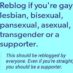 tinasissyslut:  boyyslut:  Proud to be a totally gay sissy slut.  I’m at least one of these probably more