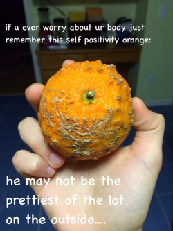 fandom-inc:  fandom-inc:  self positivity is key remember the self positivity orange  oh god never mind it tasted like shit 