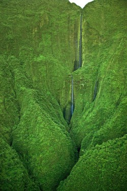 Long ’n lush (waterfall on Maui)