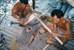   Mentawai, by Tom Schenau  Making the arrows and the deadly poison (also deadly for humans) before the hunt. A very skilful task. The daily routine of the Mentawai- tribe living on the island of Siberut