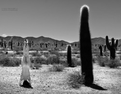 shared500pxfavs:  Naked in the desert by walterbelfioreph, http://500px.com/photo/164779581 