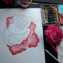 Working on a rose with some watercolor. #mattbernson #tattooapprentice #tattooflashart #flowers  (at Empire Tattoo)