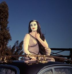 vintageeveryday:Yvonne de Carlo as Lily Munster in ‘The Munsters,’ 1964-1966.