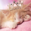 kittensintiaras: Rules and Punishments: Ideas These are just some ideas that I’ve seen around, people have mentioned, or I personally have for rules and punishments. They do not apply to everyone nor do you have to use any of the ones listed. You can