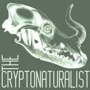 cryptonature:The fossil is not the animal.The fossil is not the bones of the animal.The fossil is the stone’s memory of the bones of the animal.And that’s a poetry older than words.