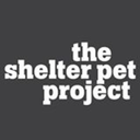shelterpetproject:The Queen&hellip;.Queenie. She always has an opinion, unless she’s sleeping&hellip;and is never shy about sharing it. Queenie loves using your lap to survey her kingdom; just don’t dethrone her without asking first. She also adores