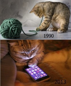 king-of-carrot-flowerss:  Only 90’s cats will understand. 