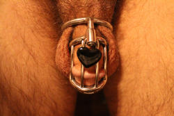 sharefantasies:My locked cock in my Mature Metal Jail Bird. The heart lock reminds me that my cock belongs to my Keyholder, not me. 