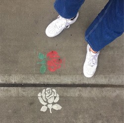 rosescentimental:  https://instagram.com/p/BLXIj29gYpX/ 