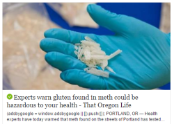 capitalcelticdom:  asgardreid: gotitforcheap:  *gentrification voice* uh is this meth organic?    “Is crystal meth vegan?”   Got to be kidding me.  Fuck! Now I have to give up meth too?