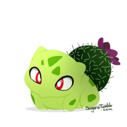 suguru:  desert cacti bulbasaur ♥    