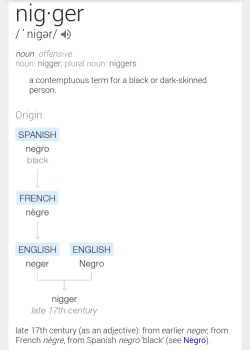 gemi-nah:  I didn’t wanna have to do this but I have been pushed too far. See the above word? If you are persons other than the race it is used towards, don’t fucking say it. I dont care if you are quarter black on your great grandmother’s side.