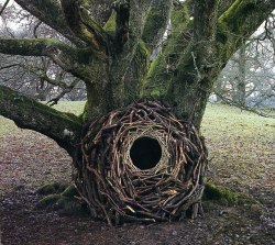 neil-gaiman:  lissycposts:  Andy Goldsworthy’s art  My default holiday gifts are Andy Goldsworthy’s books of photographs of his art… 