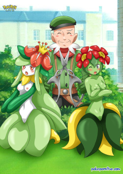 swiftstar194:  pokesexphilia:    lovelover836 said:Could you do some lilligant?I can post it, so I hope you enjoy =D  I LOVE LILLIGANT!!!!