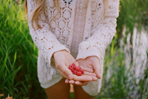 be-respectful: raspberry by Amorrr Burakova on Flickr. 