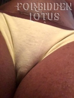 forbiddenlotus:  My mighty clit bulge…cum indulge ur big clit desires @Forbiddenlotus.com…please take advantage of my NEW member DISCOUNT!! Available for a limited time only!! Starting for as little as  บ.99 for a full 7 days!!  Mmmm mouthwatering