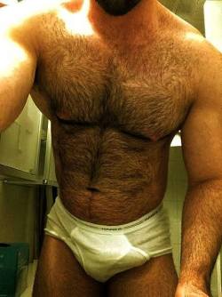 GAY BEAR FOR CHASERS