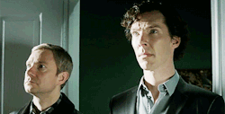 detectiveangelinabox:  cumbercrieff:  ben-hiddle-batch:  foreverwholocked:  dorkkybatch:  The elephant in the room.  &ldquo;BENEDICT, MARTIN, PULL YOUR BEST ‘SHOCKED’ FACES— OKAY BRILLIANT. ACTION!&rdquo;  I laugh my ass off every time i see this