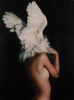 taxidermy-in-art: © Amy Judd, Noble Wings