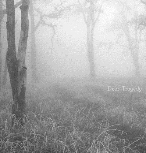 Dear Tragedy - Everything I Could Never Tell You [EP] (2014)