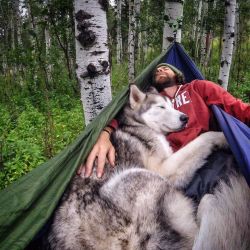 the-awesome-quotes:  Wolfdog On Epic Adventures 