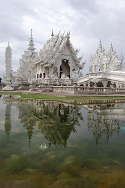 Be of calm mind (Chiang Rai, Thailand)