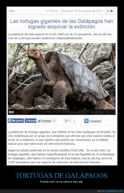 alochucknorris:  La asombrosa recuperación de las tortugas de las Islas Galápagos - Pueden salir con la cabeza bien alta 