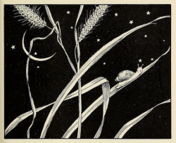 nemfrog: A snail crawls up a blade of grass under the night sky. Outdoor visits. 1934. 