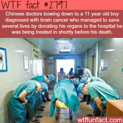 wtf-fun-factss:  A kid in hospital saves many lives - WTF fun facts