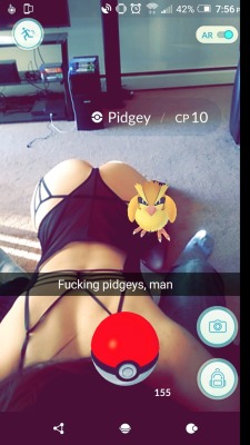   I&rsquo;m tired of all these pidgeys  