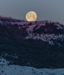 americasgreatoutdoors:A new day starts at Yellowstone National Park in Wyoming as the moon sets behind a mountain shining with alpenglow. It’s just another magical moment from this remarkable natural treasure. Photo by Jacob W. Frank, National Park