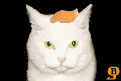 suppermariobroth:Maximum petting speed in the Pet Cat souvenir in WarioWare: Twisted.