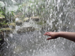 waaia:  waaia:  my friend put her hand into the waterfall and it looked so beautiful  cant believe how many notes this got omg thank u O.O 