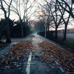  autumn / winter 