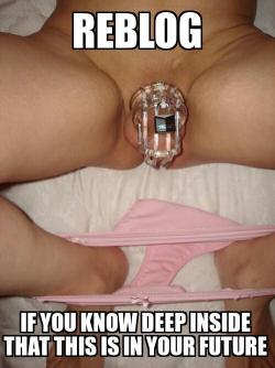 sissy-stable:  Do you already know, deep inside, that this is your near future ?  Wow! ;)