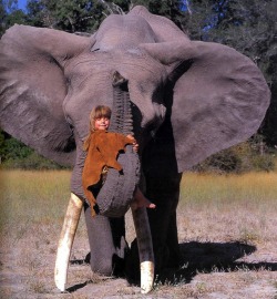 ewok-gia:  Born in Africa to French wildlife photographer parents, Tippi Degré had a most unusual childhood. The young girl grew up in the African desert and developed an uncommon bond with many untamed animals including a 28-year old African elephant