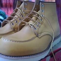 dudedo:  My new shoe thank you my mom my dad.  #shoes #redwings #redwingshoes .