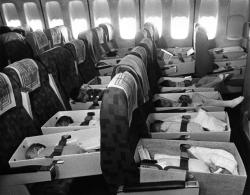 jakovu: shaolinshadowboxing:  fatbodypolitics:  freedominwickedness:  saturnineaqua:  intheindigo:  shanellbklyn:  historicaltimes:  Babies are strapped into airplane seats enroute to LAX during “Operation Babylift” with airlifted orphans from Vietnam